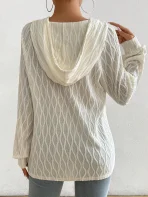 sz2404170030245202_01