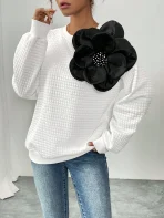 sz2409271596676221_00