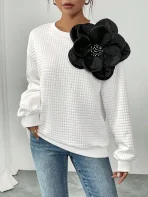 sz2409271596676221_04