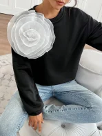 sz2410229404230351_00
